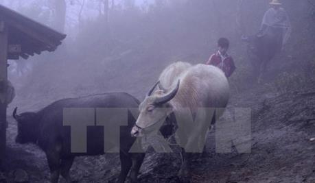 Dự báo thời tiết ngày 1/11, Bắc Bộ chuyển rét, có nơi nhiệt độ xuống dưới 14 độ C