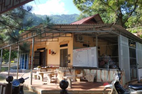 Vi phạm quản lý đất rừng phòng hộ Sóc Sơn: Tạm đình chỉ một Chủ tịch xã