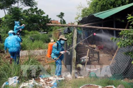 4 tỉnh, thành xuất hiện dịch cúm gia cầm A/H5N6