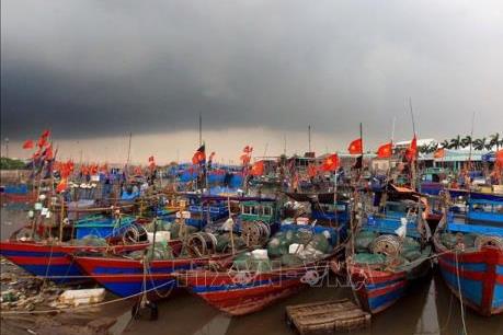 Hải Phòng khắc phục “thẻ vàng” IUU
