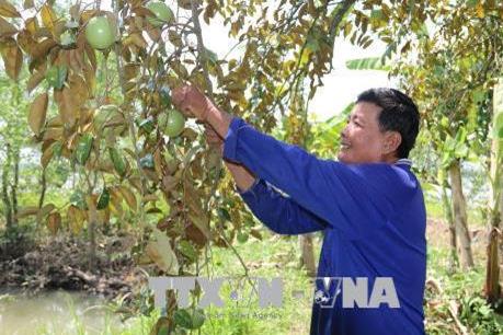 Biến thách thức thành cơ hội - Bài 2: Các mô hình làm giàu 