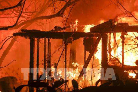 Cháy rừng ở California và nỗi buồn của các công ty bảo hiểm