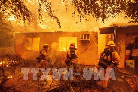 Hơn 30 người thiệt mạng do cháy rừng ở bang California