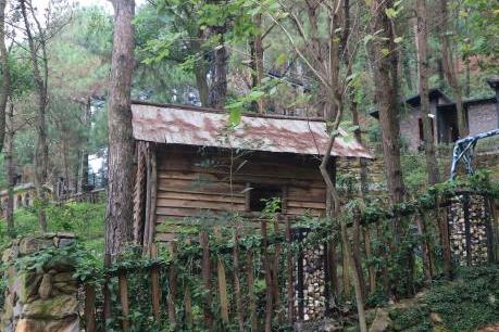 Bắt đầu cưỡng chế công trình vi phạm trên rừng Sóc Sơn