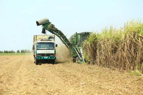 Đầu tư Thành Thành Công đăng ký mua 45 triệu cổ phiếu SBT