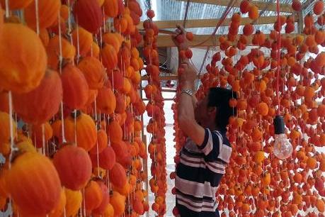 Lâm Đồng đầu tư hơn 13 tỷ đồng phát triển các sản phẩm lợi thế