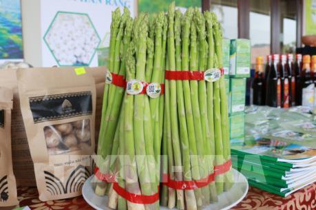 Ninh Thuận công bố 12 sản phẩm đặc thù của địa phương