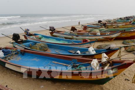 Bão Gaja hoành hành tại Ấn Độ