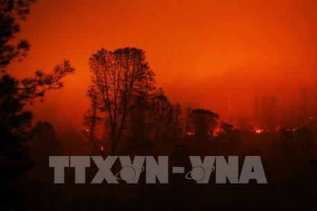 Nhanh chóng tìm kiếm các nạn nhân​ cháy rừng tại California
