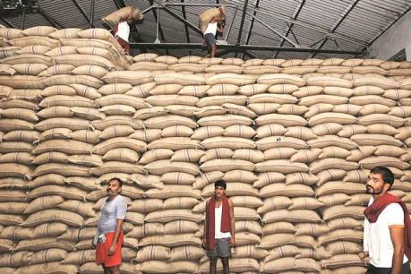 Ấn Độ sẽ vượt Brazil trở thành nhà sản xuất đường lớn nhất thế giới