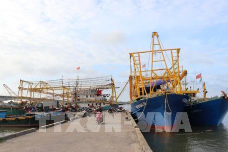 Chưa có hướng giải quyết cho 50 container cá ngừ bị ách tại cảng