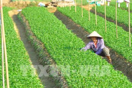 Hà Nội - Ninh Bình thúc đẩy hợp tác phát triển kinh tế