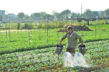 Biết khai thác thế mạnh sẽ thành công