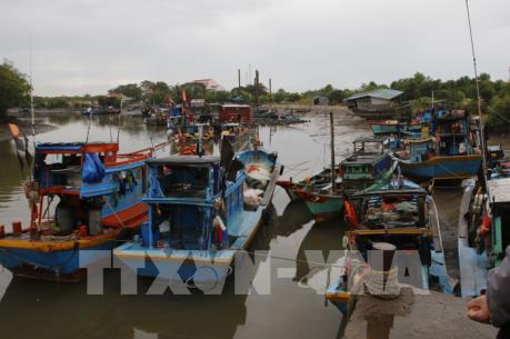 Trưa 24/11, Tp. Hồ Chí Minh hoàn thành việc phòng chống cơn bão số 9
