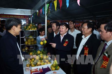 Lễ hội tôn vinh sản phẩm cam Hưng Yên