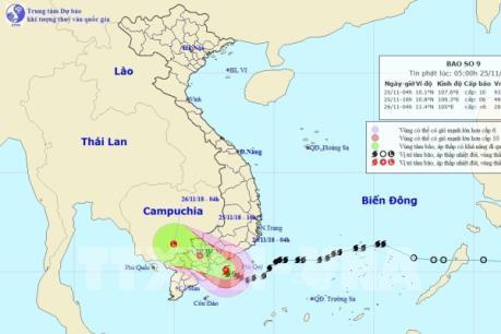 Trà Vinh sẵn sàng ứng phó với bão số 9