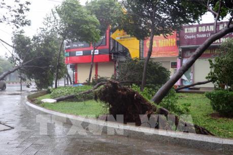 Bà Rịa-Vũng Tàu: Mưa và gió vẫn giật mạnh do ảnh hưởng bão số 9