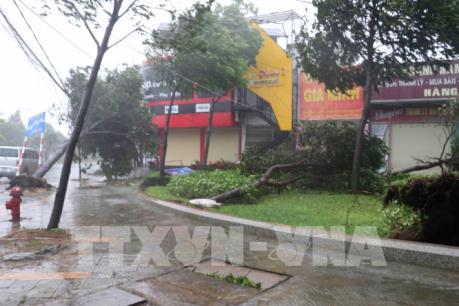 Bà Rịa-Vũng Tàu: Lưới điện bị thiệt hại nặng nhất  