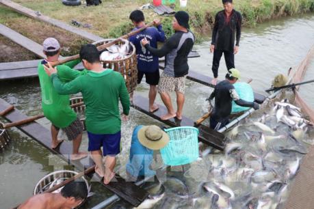 An Giang "trải thảm" thu hút đầu tư 