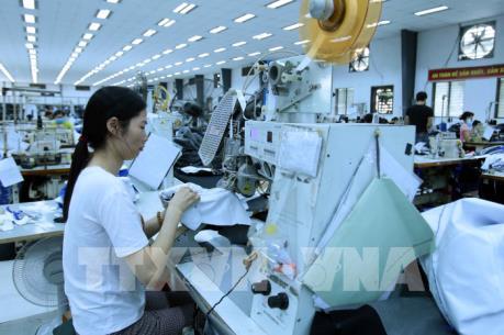 Công cụ nào đánh giá rủi ro ngành dệt may Việt Nam?