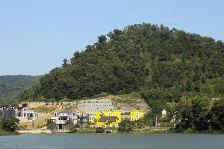 Thanh tra toàn diện việc quản lý, sử dụng đất rừng ở huyện Sóc Sơn