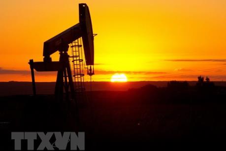 Giá dầu thế giới trải qua tháng tồi tệ nhất trong hơn 10 năm