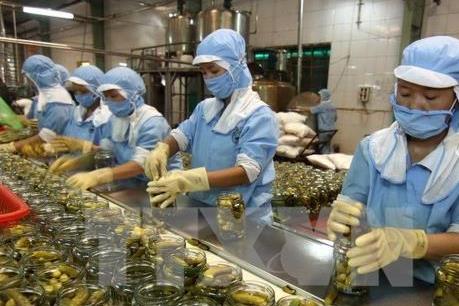 CPTPP: Tạo hệ sinh thái tốt hơn cho phát triển của doanh nghiệp