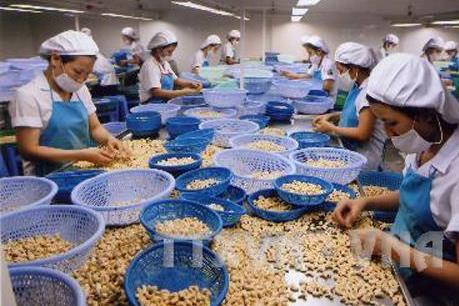 Giá nông sản giảm thấp khi dầu thô tiếp tục tăng