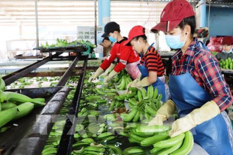 Hai tháng, xuất khẩu nông lâm thủy sản giảm