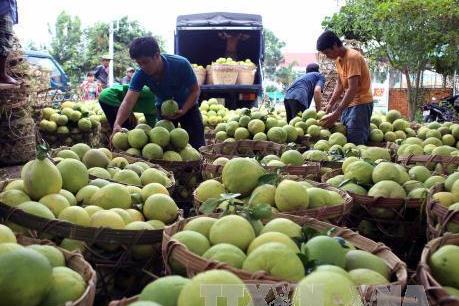 Quyết định khởi tố, tạm giam 3 đối tượng trong vụ “bảo kê” ở chợ Long Biên