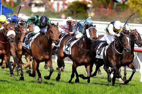 Bổ sung dự án trường đua ngựa vào Quy hoạch phát triển của Hà Nội 