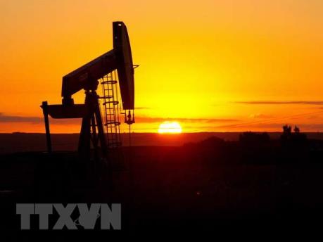 YPF và Petronas đầu tư 2,3 tỷ USD cho thăm dò, khai thác dầu khí