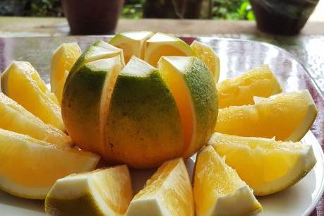 Vietnam Airlines sẽ phục vụ món tráng miệng đặc sản cam Cao Phong