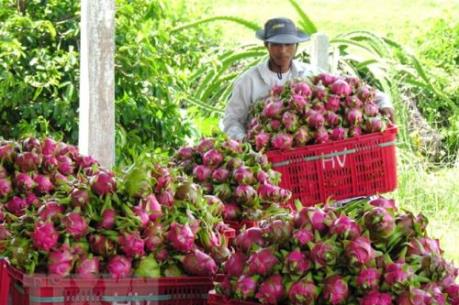 EVFTA sẽ mở ra cơ hội cho nông sản Việt Nam