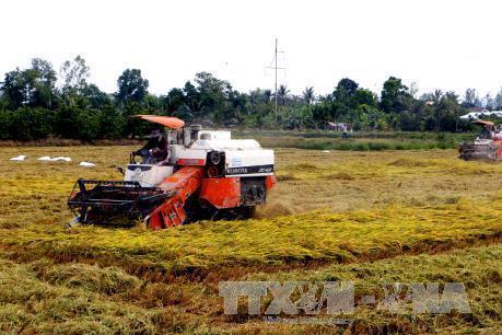 Cần Thơ nâng cao giá trị nông sản và lợi nhuận cho nông dân