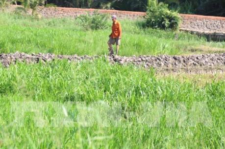 Dự án “treo” tại TP HCM: Bài cuối: Kiên quyết thu hồi dự án chậm tiến độ