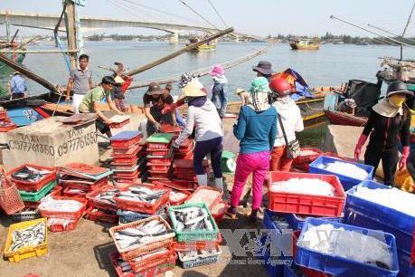 Kinh tế biển Thừa Thiên - Huế: Phát triển mạnh nhờ đầu tư đúng hướng