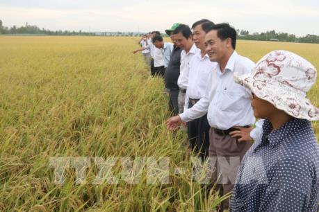 Tiền Giang ứng dụng công nghệ cao trong vụ Thu Đông 2018