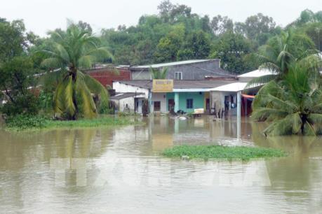Mưa lớn tại Quảng Nam khiến nhiều ngôi nhà ngập trong nước
