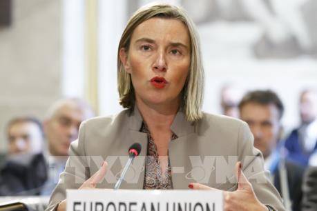 EU muốn sớm áp dụng cơ chế thương mại không dùng đồng USD với Iran