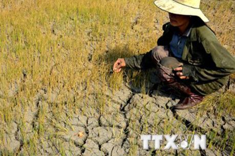 Lâm Đồng khắc phục hậu quả hạn hán vụ Đông Xuân 2017 – 2018