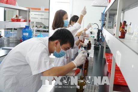 Giáo dục đại học Việt Nam: Nâng chất lượng nội tại để bứt phá xếp hạng quốc tế