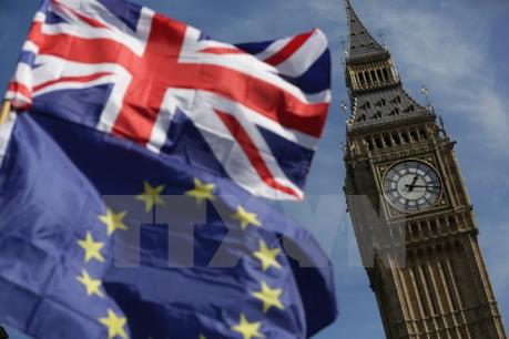 Cuộc trưng cầu ý dân năm 2016 về Brexit tốn 163 triệu USD