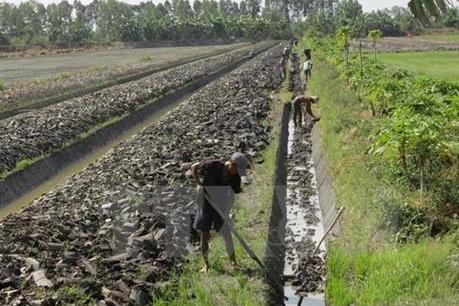 Biến tư duy kinh tế thành hiện thực cho nền nông nghiệp của Đồng bằng