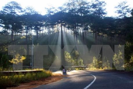 Dự báo thời tiết ngày 15/12: Bắc Bộ rét hại chấm dứt