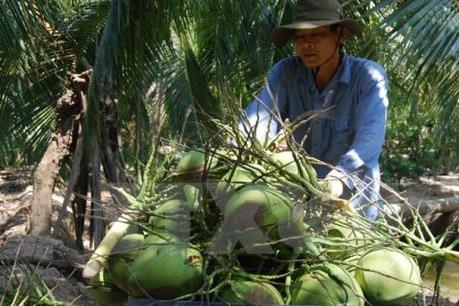 Bến Tre "hút" đầu tư nông nghiệp công nghệ cao 