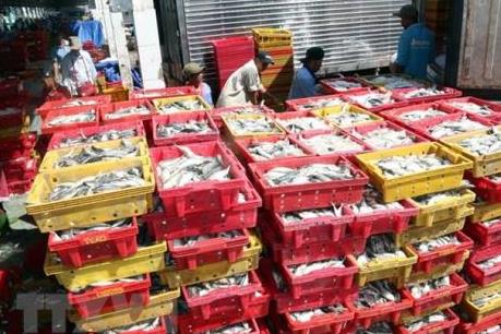 Thẻ vàng của EU - bài học cho các quốc gia phát triển bền vững