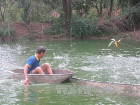 Người nuôi thủy sản bị ảnh hưởng vì dự án Cảng Sài Gòn – Thép Việt