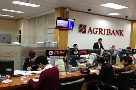 Bố trí nhân sự đảm bảo hoạt động ổn định tại Agribank Đức Lập (Đăk Nông)