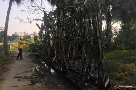 Sự cố tràn dầu ở Thanh Hóa: Dầu DO lan khắp các cống thoát nước dân sinh